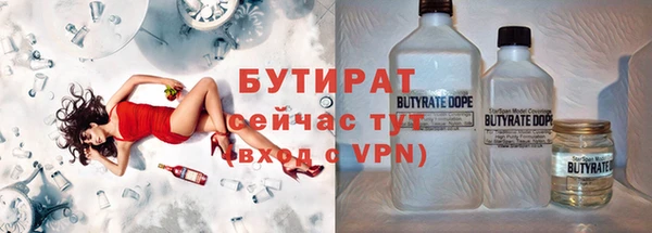индика Козловка