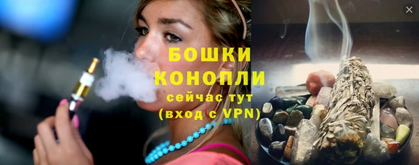 индика Козловка