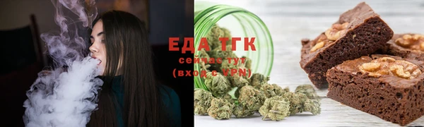 индика Козловка