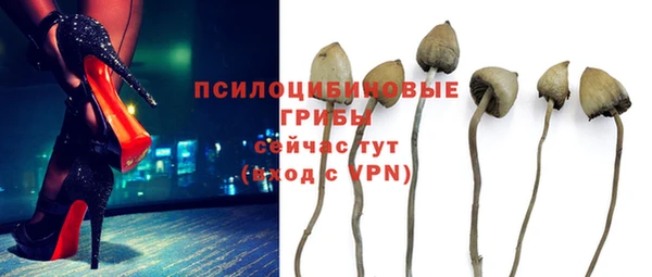 экстази Козельск