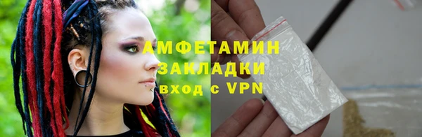 индика Козловка