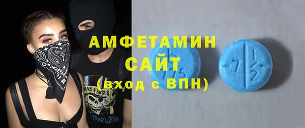 индика Козловка