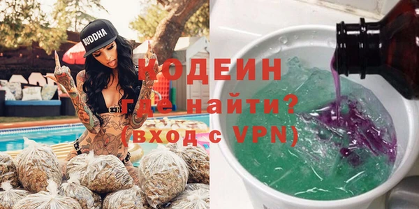 индика Козловка
