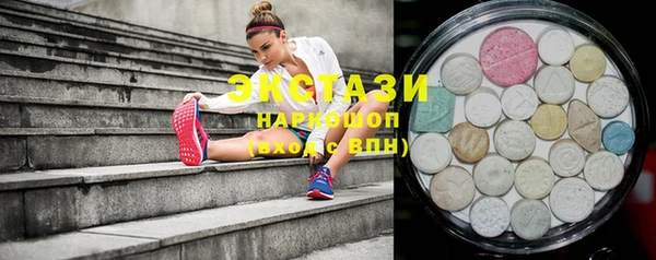 индика Козловка
