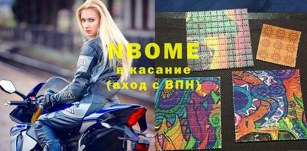 индика Козловка
