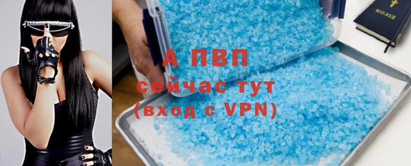 индика Козловка