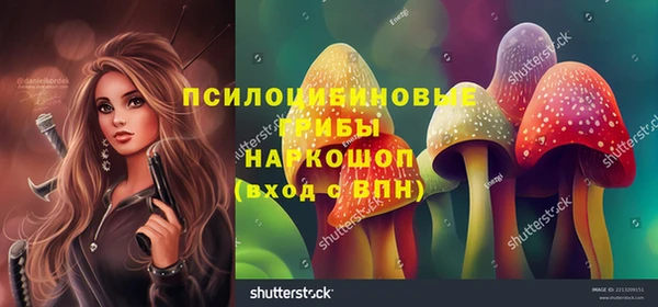 ALPHA-PVP Кодинск