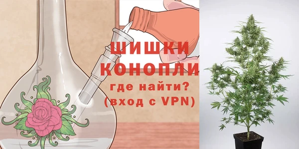 индика Козловка