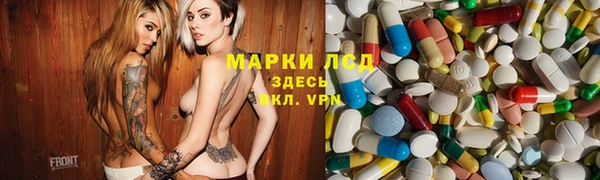 индика Козловка