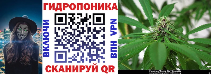 МАРИХУАНА THC 21%  Купить закладки  Новочебоксарск 